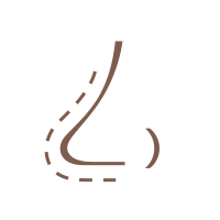 rhinoplasty